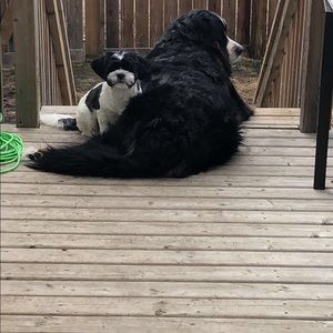 Meet your Posher, Jaclyn